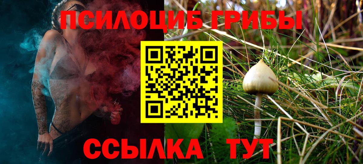 Псилоцибиновые грибы Psilocybine cubensis  Вход с VPN  Серпухов 