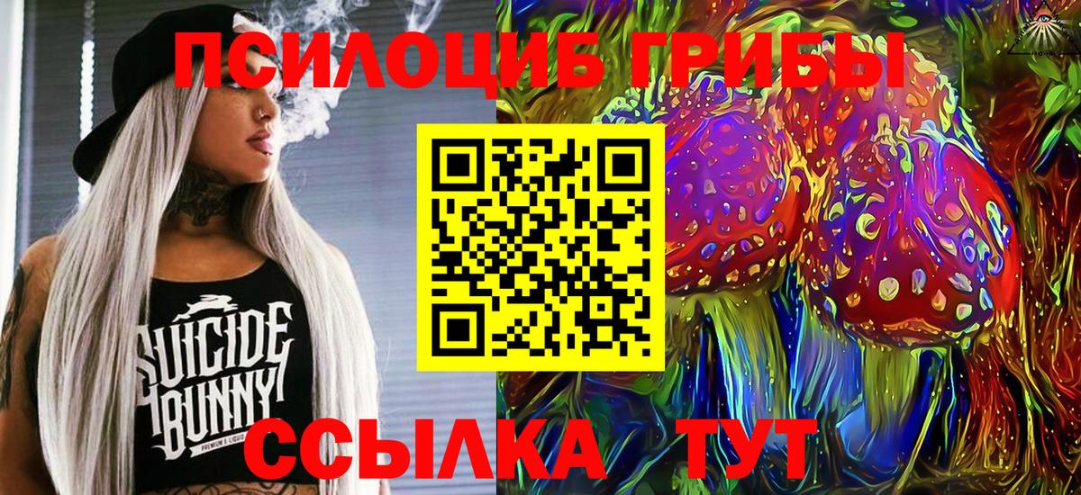 Псилоцибиновые грибы Psilocybe Серпухов